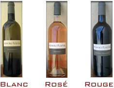 vignoble-floutier_09.jpg